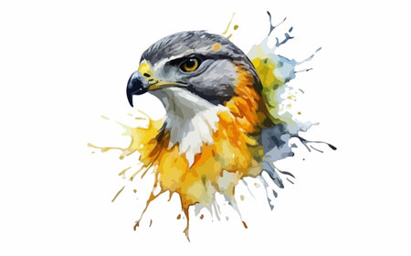 Watercolor illustration of an eagle on white background. Hand-drawn illustration.のイラスト素材