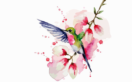 Watercolor illustration of a hummingbird and cherry blossom branch.のイラスト素材