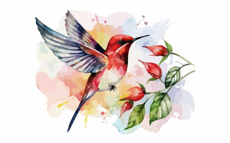 Hummingbird with red flower and watercolor splashes. Vector illustration.のイラスト素材
