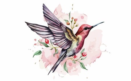 Hummingbird with flowers. Watercolor illustration isolated on white background.のイラスト素材