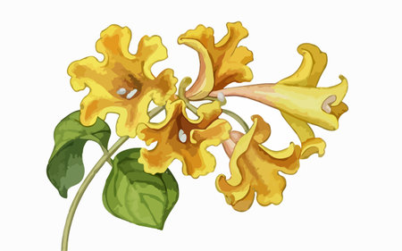 Illustration of a yellow flower with leaves on a white background.のイラスト素材