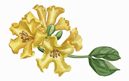 Illustration of a yellow flower with green leaves on a white backgroundのイラスト素材