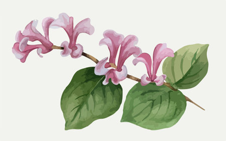 Illustration of a branch with flowers and leaves. Vector illustration.のイラスト素材