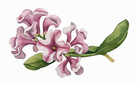 Illustration of a lilac branch with flowers on a white backgroundのイラスト素材
