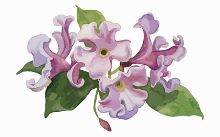 Illustration of lilac flowers with leaves on a white background.のイラスト素材