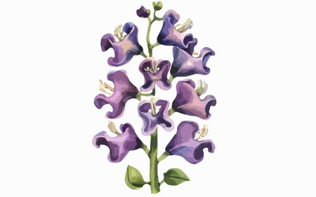 Illustration of a purple flower with leaves on a white background.のイラスト素材