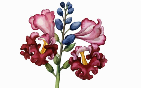 Beautiful watercolor illustration of a purple and pink freesia flowerのイラスト素材
