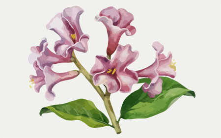 Illustration of a pink flower with green leaves on a white backgroundのイラスト素材