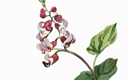 Illustration of a branch of a plant with red and white flowersのイラスト素材
