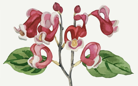 Illustration of a branch with flowers in the style of watercolorのイラスト素材
