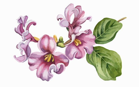 Illustration of a lilac bouquet on a white background.のイラスト素材