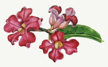 Illustration of a branch of red flowers with leaves and buds.のイラスト素材