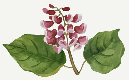 Illustration of a branch of a plant with pink and purple flowersのイラスト素材