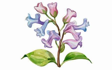 Illustration of a bunch of lilac flowers on a white backgroundのイラスト素材