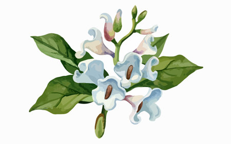 Illustration of blue flowers with green leaves on a white background.のイラスト素材