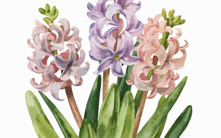 Illustration of hyacinths in pastel colors on a white backgroundのイラスト素材