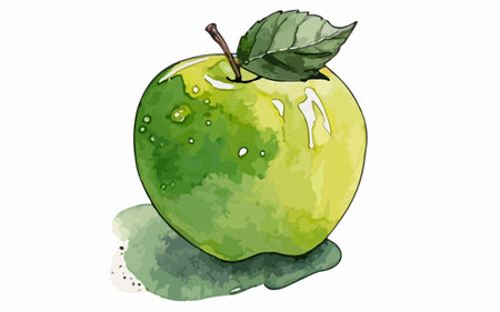 Illustration of a green apple with watercolors on a white backgroundのイラスト素材