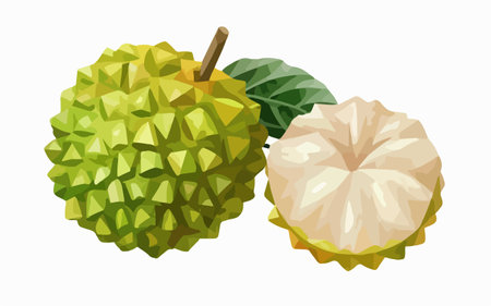 Exotic tropical fruit, Exotic Exotic Exotic Exotic Exotic Fruit Vector Illustrationのイラスト素材