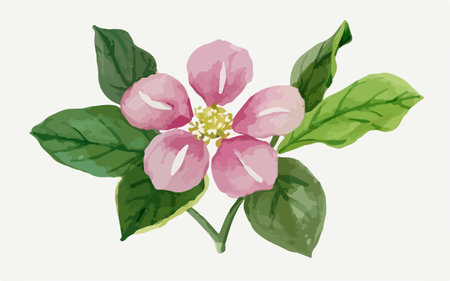 Illustration of a pink flower with green leaves on a white backgroundのイラスト素材