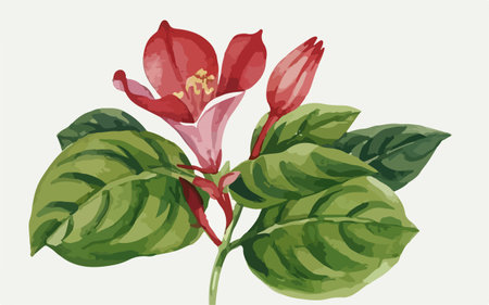 Illustration of a red flower and green leaves on a white backgroundのイラスト素材