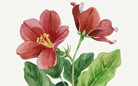 Illustration of a bouquet of red freesia flowers.のイラスト素材