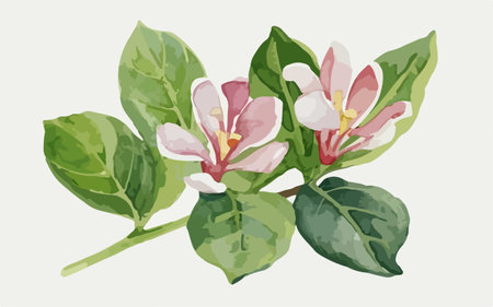 Illustration of a branch with pink flowers and green leaves on a white backgroundのイラスト素材