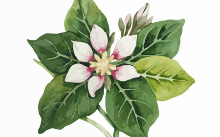 Illustration of a green leaf with a pink flower on a white backgroundのイラスト素材