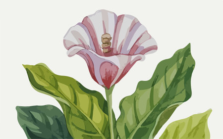 Illustration of a flower with green leaves on a light background.のイラスト素材