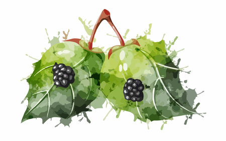 Illustration of blackberries with green leaves on a white background.のイラスト素材