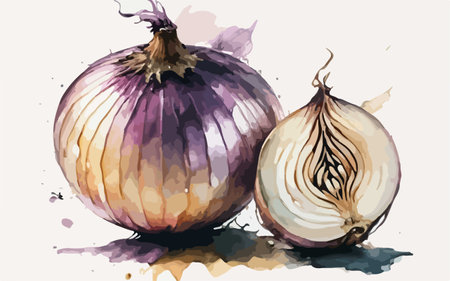 Illustration of onions on a white background with watercolor splashesのイラスト素材