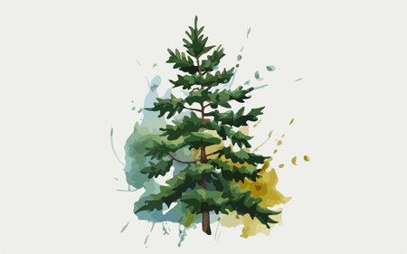 Pine tree in watercolor style. Hand drawn vector illustration.のイラスト素材