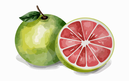Two whole and half grapefruits on white background. Vector illustration.のイラスト素材