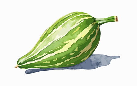 Illustration of a green gourd on a white background.のイラスト素材