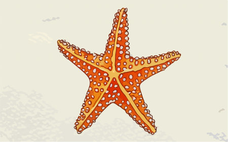 Starfish on the background of the sea and sand. Vector illustrationのイラスト素材