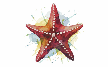 Illustration of starfish on watercolor background. Vector illustration.のイラスト素材