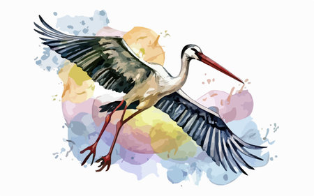 Hand drawn watercolor stork on watercolor background. Vector illustration.のイラスト素材