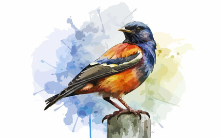 Colorful bird on a watercolor background. Watercolor illustration.のイラスト素材