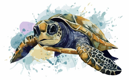 Turtle in watercolor style. Vector illustration for your design.のイラスト素材