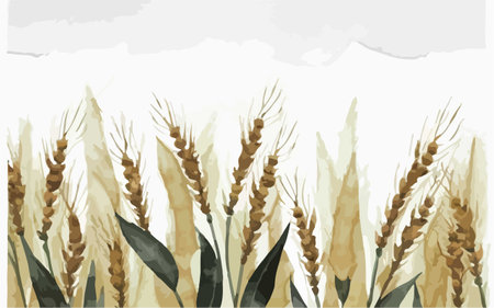 Illustration of wheat ears on the white background with space for textのイラスト素材