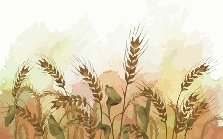 Watercolor background with wheat ears. Vector illustration for your design.のイラスト素材