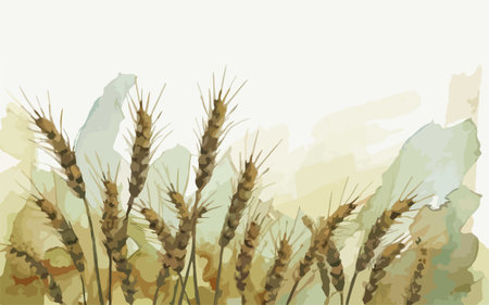 Illustration of wheat ears on watercolor background. Vector illustration.のイラスト素材