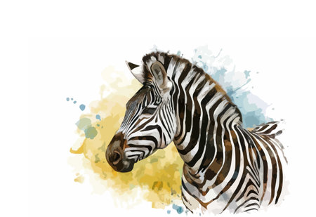 Watercolor painting of zebra on white background. Vector illustration.のイラスト素材