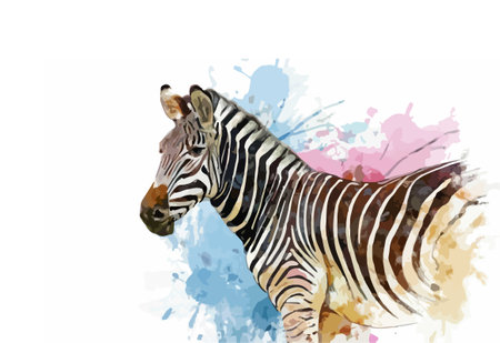 Zebra watercolor painting on white background. Hand drawn vector illustration.のイラスト素材