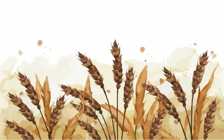Illustration of wheat ears on watercolor background. Vector illustration.のイラスト素材