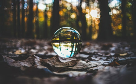 Crystal ball on the ground in the autumn forest. Beautiful nature background.の素材