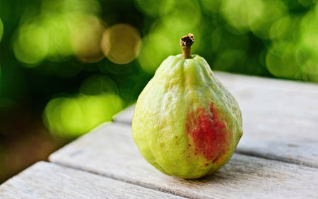 Fresh guava fruit on wooden table with bokeh background.の素材