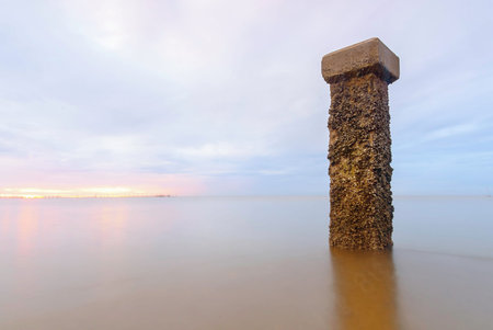 Old colum reinforce in the sea  in case use Sulfate Resistance PortlandCement