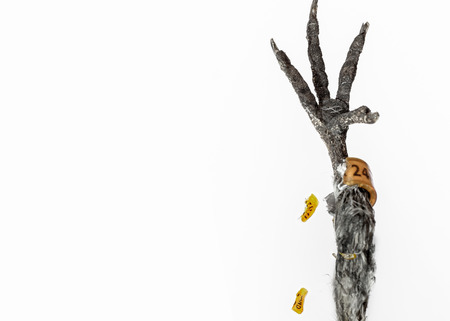 Leg of death birdの写真素材