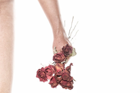 rose wither in young man hand, failing in loveの写真素材