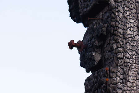 wood burn, bolt corrosionの写真素材